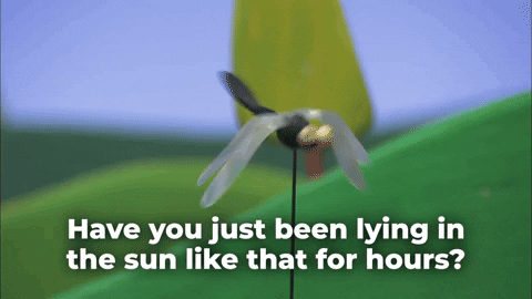 Mosquito Flying In The Sun GIF