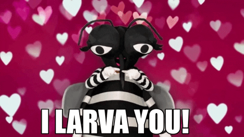 Mosquito Heart Finger Sign GIF