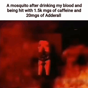 Mosquito Hit With Caffeine And Adderall GIF