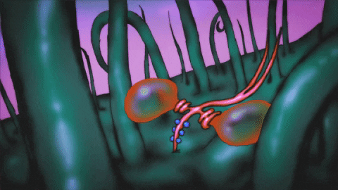 Mosquito Larva Dance GIF