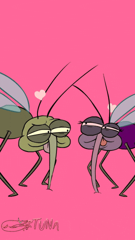Mosquito's Sudden Heart Break GIF