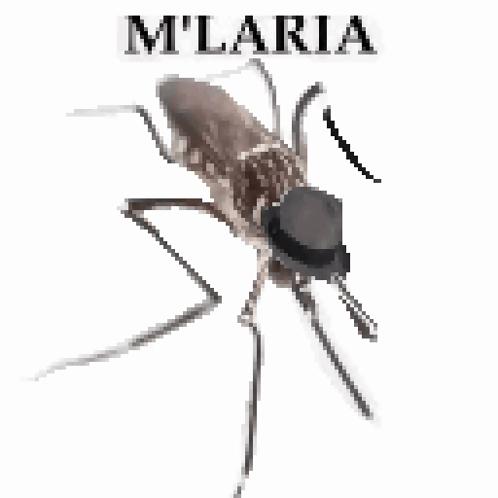 Mosquito With Hat Saying Milaria