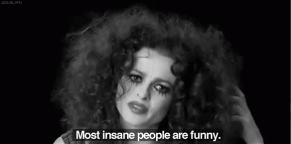 Most Insane People Are Insane GIF