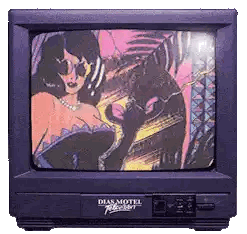 Motel TV Screen Woman and Cat