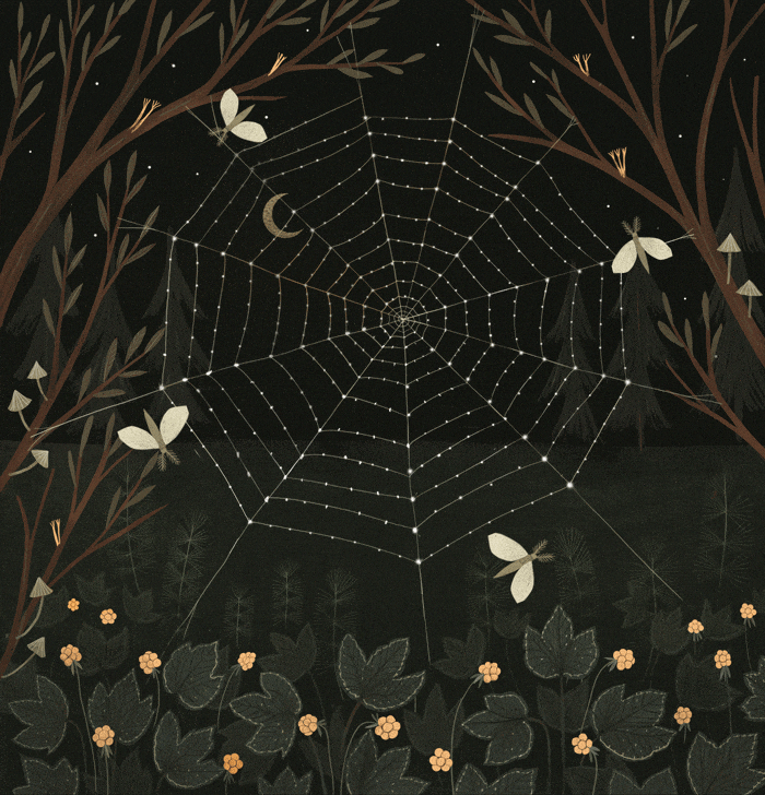 Moth Flying Around The Web GIF