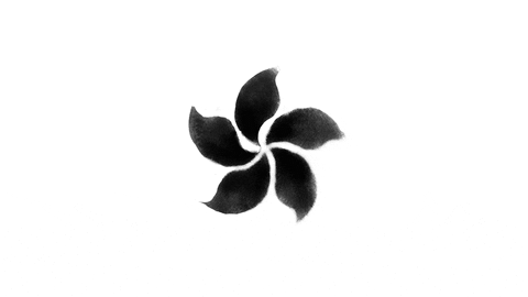 Moth Flying Near You GIF