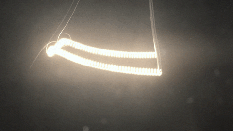 Moth Got Hurt From The Torch GIF