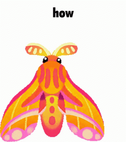 Moth Holding Knife Saying How GIF