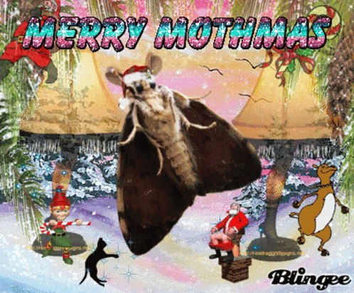 Moth In Santa Hat Merry Mothmas GIF