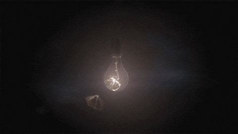 Moth Light Reflection GIF