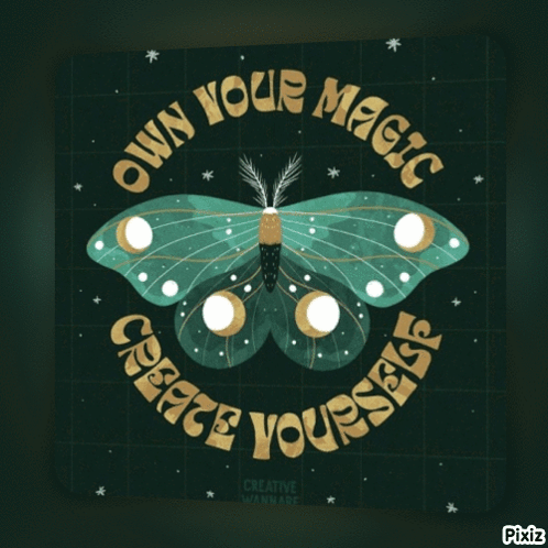 Moth Own Your Magic Create Yourself