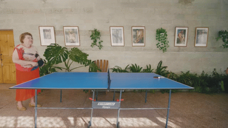 Mother And Son Ping Pong GIF