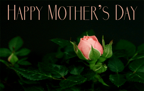 Mother's Day Blooming Flower GIF