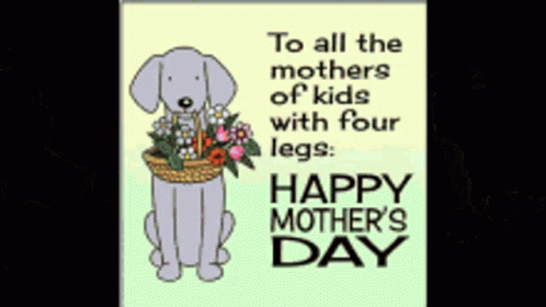 Mother's Day Card Dog Holding Flowers