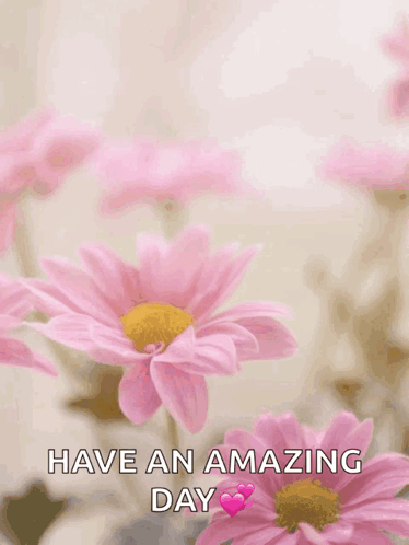 Mother's Day Card Have An Amazing Day