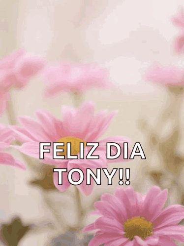 Mother's Day Card Pink Flowers Happy Feliz Dia Tony