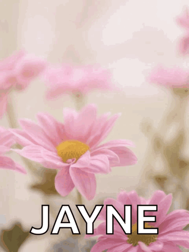 Mother's Day Card Pink Flowers Jayne GIF
