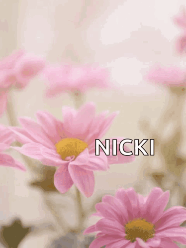 Mother's Day Card With Pink Flowers and Nicki