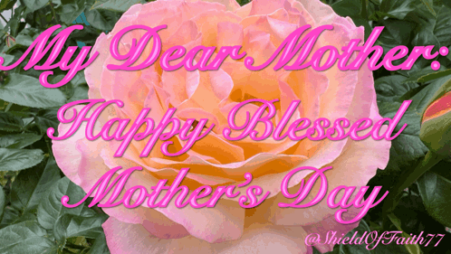 Mother's Day Card With Pink Rose