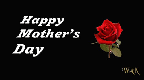 Mother's Day Card With Red Rose and Hearts