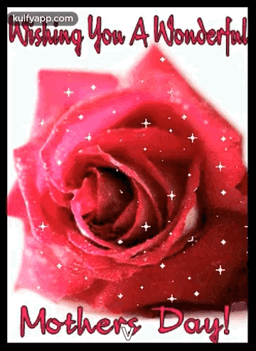 Mother's Day Card with Red Rose
