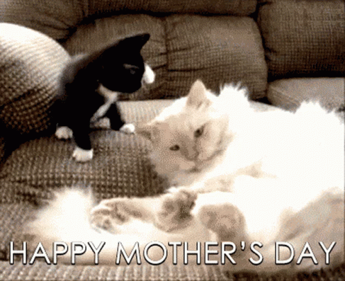 Mother's Day Card With Two Cats