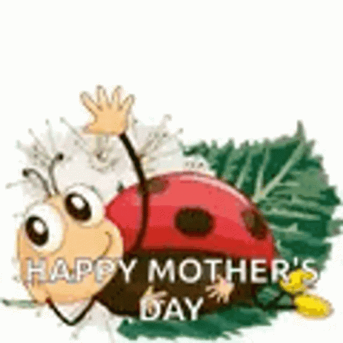 Mother's Day Card With Two Hugging Koalas