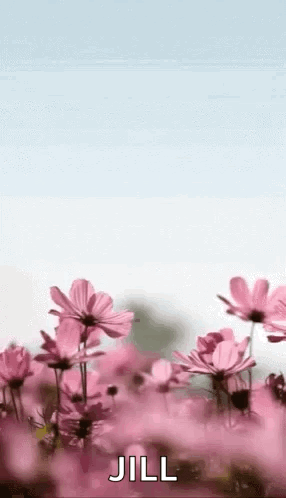 Mother's Day Card With Woman And Child GIF
