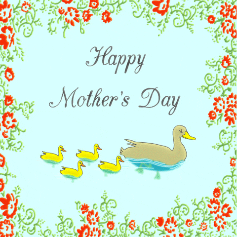 Mother's Day Duck And Ducklings GIF