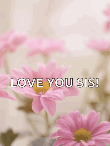 Mother's Day Greeting Card Pink Flowers GIF