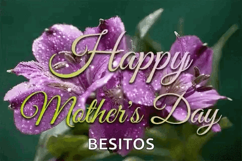 Mother's Day Greeting Card Purple Flowers GIF