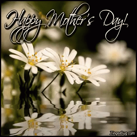 Mother's Day Greeting Card With Flowers GIF