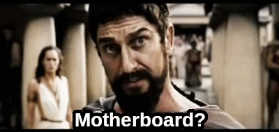 Motherboard This Is Beans Sparta GIF