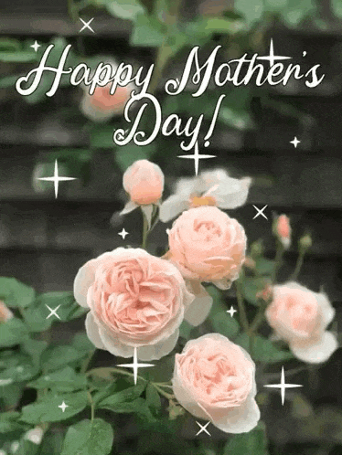 Mothers Day Flower Gif GIF