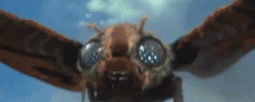 Mothra Mosura Monster Fight GIF