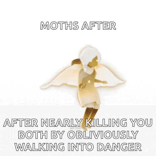Moths Walking Into Danger Poster