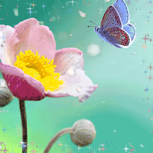 Motivational Quotes Singapore Boomer GIF