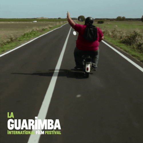 Moto Moto Sassy Peace Out La Guarimba Film Festival GIF