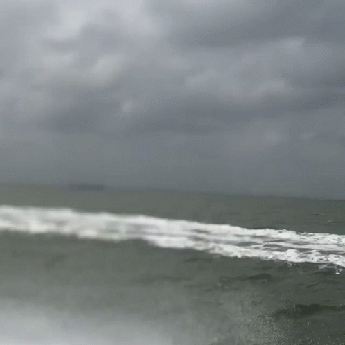 Motorboat Fast Craft GIF