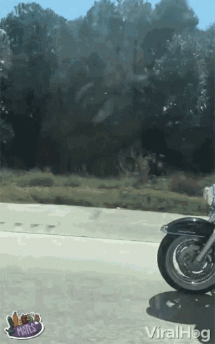 Motorcycle Driving Down Highway Saying Viralhog