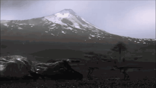 Mountain Covered in Snow