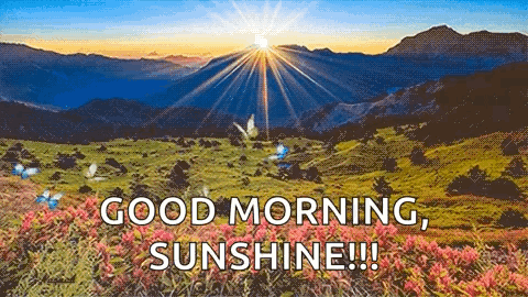 Mountain Landscape With Sun Through Trees and Flowers