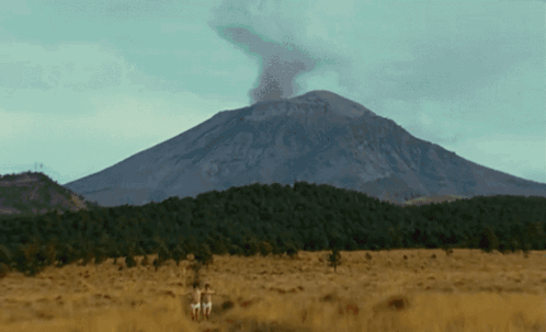 Mountain With Smoke Surrounded By Trees And Grass GIF