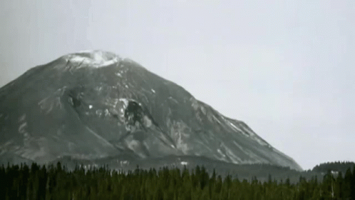 Mountain with Trees and White Sky