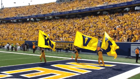 Mountaineers Flag Waved By Tree Man GIF
