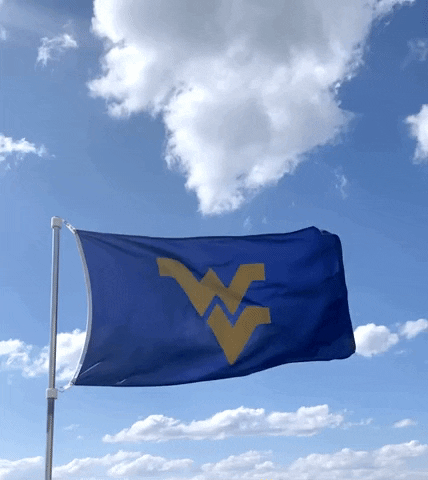 Mountaineers Flag Waving On Flag Pole GIF