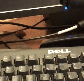 Mouse Hiding Under A Computer Screen GIF