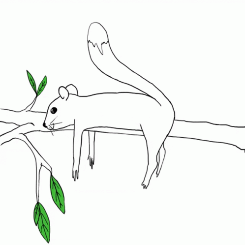 Moviing Sketch Of A Squirrel GIF
