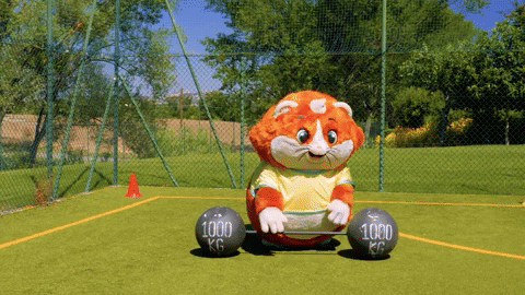 Moving Cat Dumbbell GIF