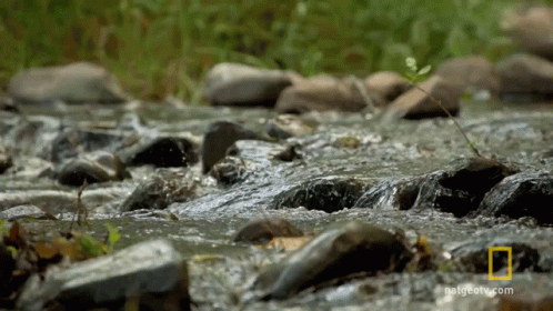 Moving Water By The Rocks GIF